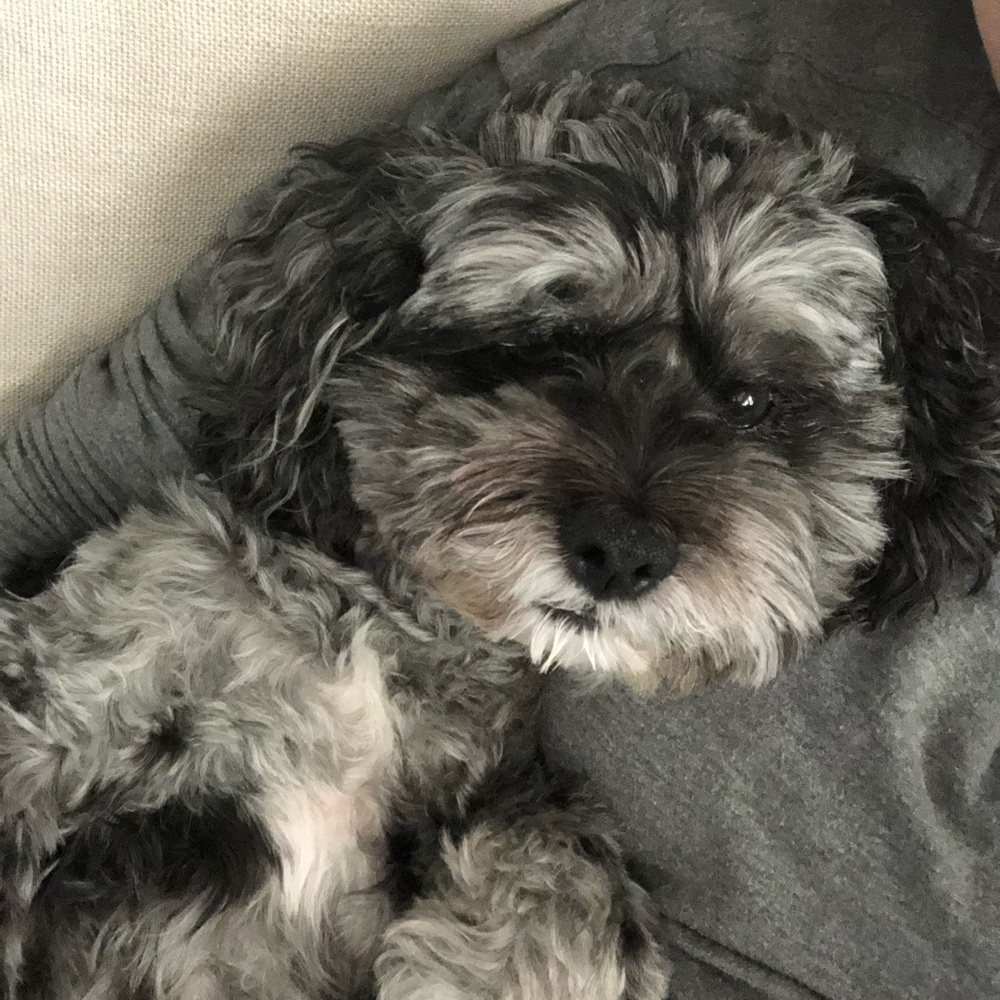 Meet your Posher, Yana